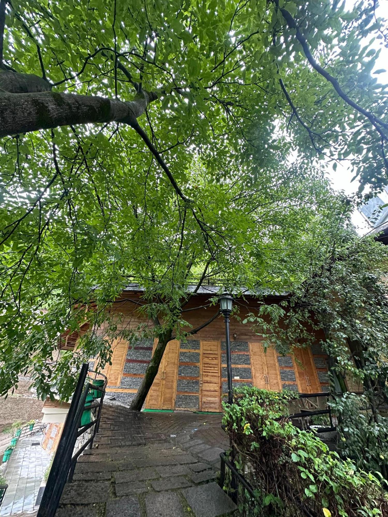 Manuallaya The Resort & Spa Manāli Dış mekan fotoğraf