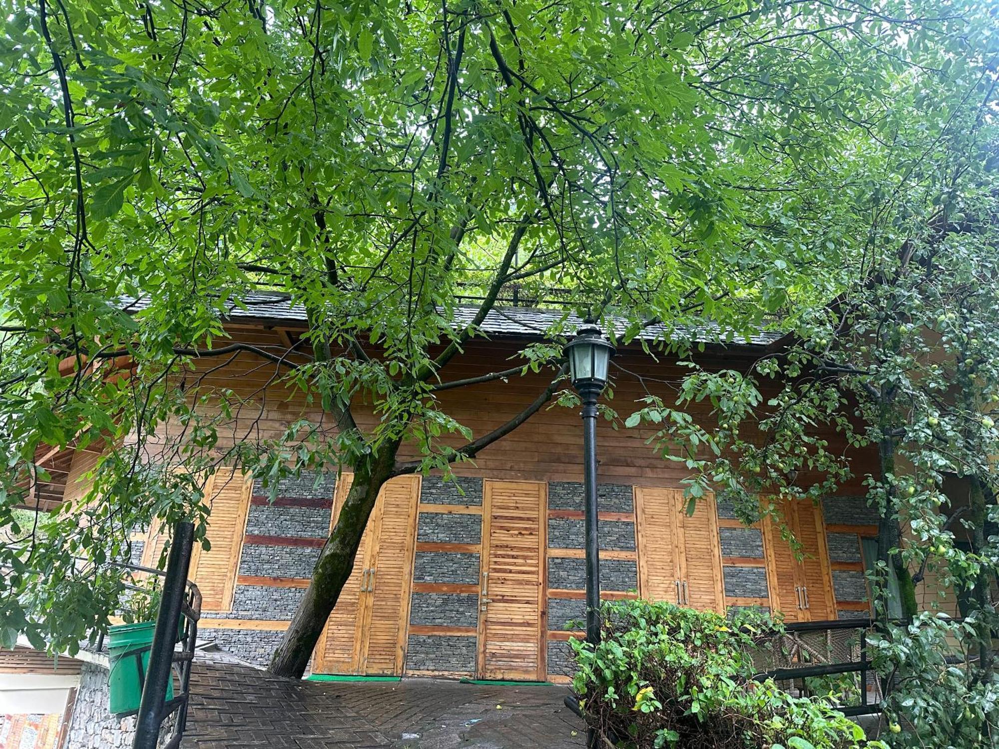 Manuallaya The Resort & Spa Manāli Dış mekan fotoğraf